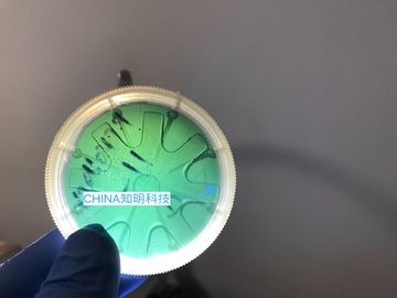 Good price 2 INCH 6H-N Silicon Carbide Wafer Type MPD 50cm 330um SiC Crystal Wafers Ingots online