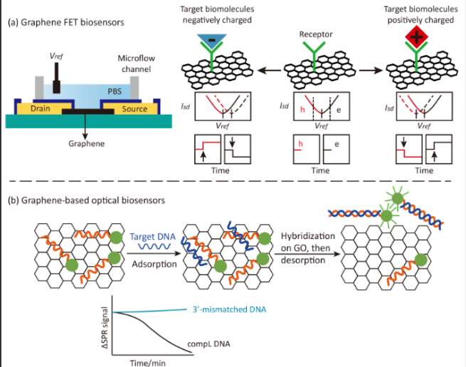 Predictions and Challenges of Fifth-Generation Semiconductor Materials